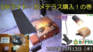 UVライト・カメテラス購入！の巻（2022年10月13日）