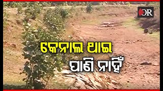 ଜଳସେଚନ ପ୍ରକଳ୍ପ ଥାଇ ବି ଗାଁକୁ ପାଣି ନାହିଁ | Boudh || Odisha Reporter