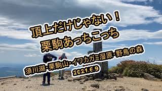 栗駒あっちこっち－須川湖－栗駒登山－イワカガミ湿原－野鳥の森