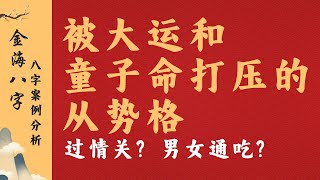 被大运和童子命打压的从势格 - 八字案例分析 | 金海八字