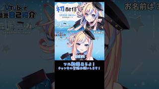 Vtuber一問一答自己紹介 やってみた！【 星降ヨル 】#vtuber #shorts