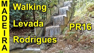 Madeira, Portugal, walking Levada Faja do Rodrigues, PR16. 075.