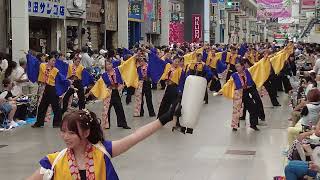 2024年8月10日　高知よさこい祭り本番一日目　帯屋町共演場　高知高専