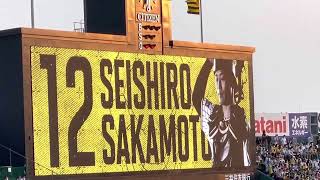 【トラフェス】阪神 坂本誠志郎選手 登場曲✨ やしきたかじん 「やっぱ好きやねん」 22.6.17. 阪神甲子園球場