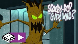 Scooby-Doo and Guess Who? | Tree Monster | Boomerang UK🇬🇧