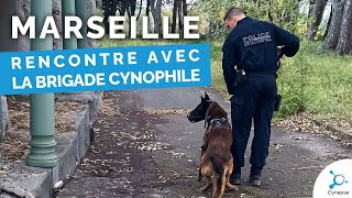 MARSEILLE - Rencontre avec la brigade cynophile