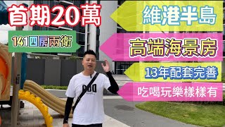 碧桂園十裡銀灘 | 最新一期維港半島高端豪宅 | 發展商回籠資金做特價 | 141平大平層#碧桂園十里銀灘 #惠州買樓 #維港灣 #維港半島 #海景房 #home