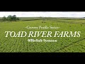 Grower Profile Series - Toad River Farms