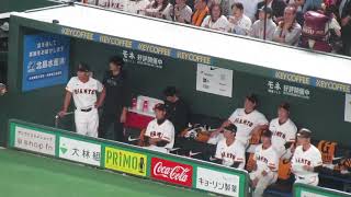 ベンチ後ろで戦況を見つめる坂本勇人と小林誠司（読売ジャイアンツ 対 横浜DeNAベイスターズ 2024年10月18日クライマックスシリーズ）