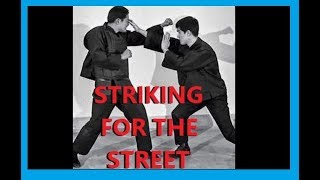 How to Strike for Self Defense - April 2019 Kenpo 360 Seminar
