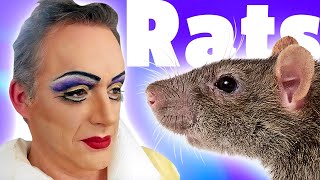 [YTP] OOPS, ALL RATS! (SUPERCUT)