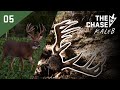 History Repeats Itself, EHD Is Back #hunting #deer