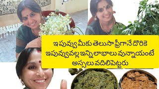 drumstick flowers benefitsమునగపూలవల్ల ఇన్నిలాభాల #trending#food#cooking#youtubeshorts #manaprachinam