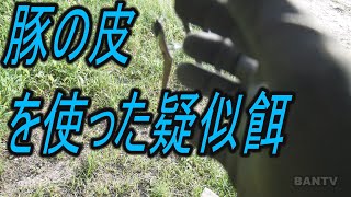 豚の皮を使った疑似餌