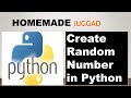 Learn to Create Random number in Python using random Function