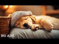 Dog Sleep Music for Dogs🐶Reduce Your Pet's Anxiety Stress🐶💖Put Your Dog at Rest🎵