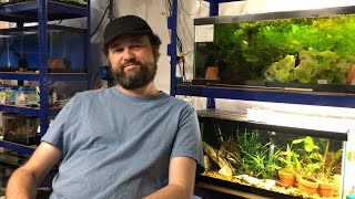 MASI Member Spotlight: Steve Coxon’s fishroom/fish house!