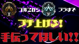 Apexゴールド帯参加型17歳以上！