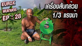 ( EUROX พบเกษตร EP:28 ) เครื่องสับกล้วย EUROX 1/3 HP  (ลุงสมพร) เจ้าของฟาร์ม