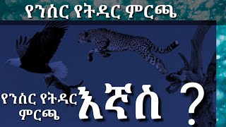 ንስር ባሏን ስትመርጥ በዚህ መልኩ ነው እኛስ?