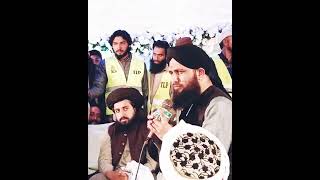 Allama Saad rizvi and Asad raza attari|Dawat e islami and TLP|status whatsapp|tlp news|shorts video