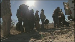Border agent admits to accepting bribes