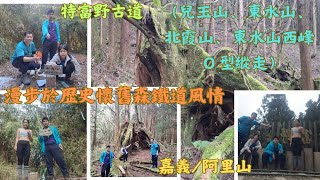 114.01.25嘉義／阿里山 特富野古道／漫步於懷舊森鐵道風情（兒玉山、東水山、北霞山、東水山西峰Ｏ型縱走）