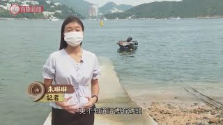 小意大意義 動物維生系統營運員 - 20200915 - 香港新聞 - 有線新聞 CABLE News