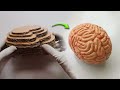 Cardboard Brain Model DIY