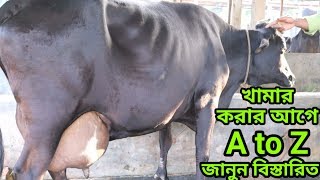 খামার করার আগে A to Z জানুন | পাবনা থেকে গাভী কেনার আগে যে দিক গুলো জানতে হবে | অল্প টাকার গাভী