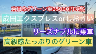 成田エクスプレスvsしおさい　グリーン料金に差があるのは何故⁉︎快適259系の旅　　#大人の休日倶楽部　#シニア旅 　#大人の休日倶楽部パス　#えきねっと