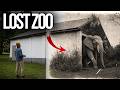 What Happened To Maidstone Zoo?