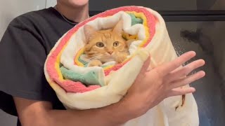 Worlds Largest Purrito