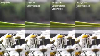 Sony a6300 test: S-Log2 vs. S-Log3 vs. Gamma Cine4