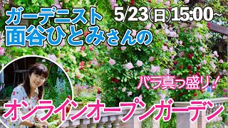 ガーデニスト・面谷ひとみさんによる「バラと草花が共演するメドウ風ガーデン！ 」オンラインオープンガーデン（2021年5月23日開催）