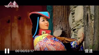 Tibetan Song 2020 - གཞས་མ་སྐལ་བཟང་གཡུ་སྒྲོན།༼བོུའི་ལྷག་བསམ།༽