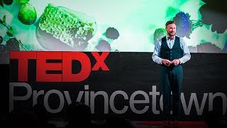 Why bees hold the key to our future | Noah Wilson-Rich