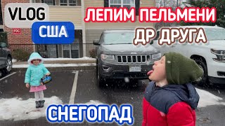 Завалило снегом / Пельменная вечеринка / Сходили на День Рождения / #США / АмерикаВлог