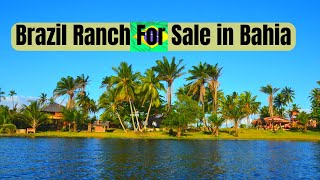 Check Out This Incredible Brazilian Beachfront Ranch For Sale in Bahia.