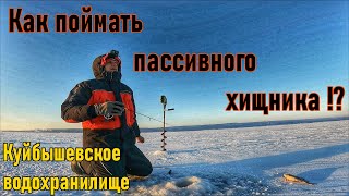 ОКУНЬ ЗИМОЙ/БАЛАНСИР/ЛОВЛЯ ОКУНЯ/РЫБАЛКА В ГЛУХОЗИМЬЕ/РЕКА ВОЛГА/КУЙБЫШЕВСКОЕ ВОДОХРАНИЛИЩЕ/ТОЛЬЯТТИ