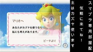 【スマブラSP】【縦型配信】＃1　めるろーちのスマブラ配信【専用部屋配信】