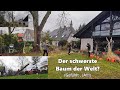 Der schwerste Baum der Welt❓ (gefühlt JA) Und alles muss weg 🙄 Bades Baumdienst 🌲💪🏽