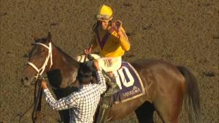 Cavorting Takes Act on the Road in Breeders' Cup Filly \u0026 Mare Sprint