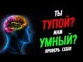 Тест: Насколько Ты Умный? Проверь Себя! @HomelandChannel