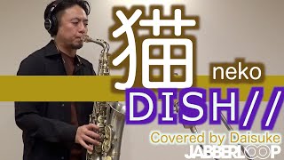 DISH//『猫』あいみょん作詞/作曲! 君がいなくなった日々を甘く切なくCoverしてみました