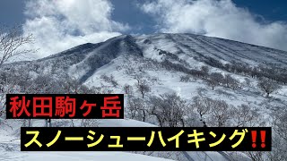 【秋田駒ヶ岳】スノーシューで登って来ました‼️