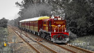 4807 \u0026 4916 Heritage Diesel Locomotives on 6L60 and other Trains at Menangle Park, NSW