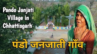 पंडो नगरी गाँव  Janjati Village Lifestyle Chhattisgarh