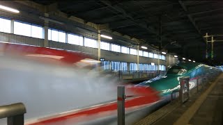 東北新幹線・新花巻駅「はやぶさ・こまち」320km/h通過 (E5+E6）