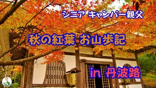 お山歩記 丹波三山紅葉